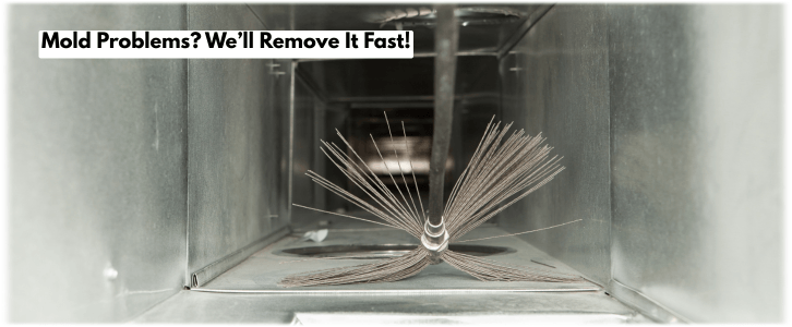 Air Duct Mold Removal in Vernon Hills IL