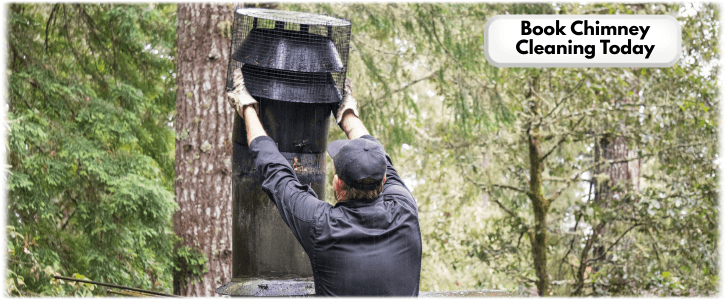 Chimney Cleaning Vernon Hills IL